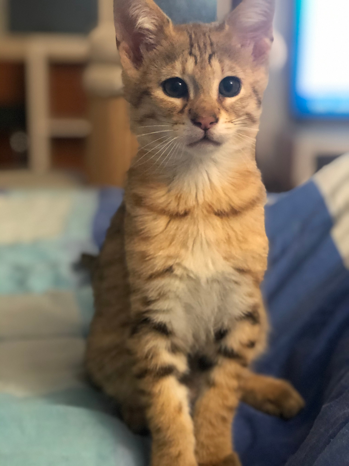 2020 01 07 20.38.45 1